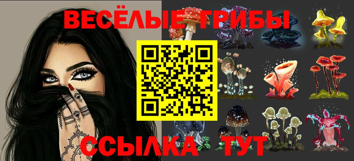 Псилоцибиновые грибы GOLDEN TEACHER Михайловск